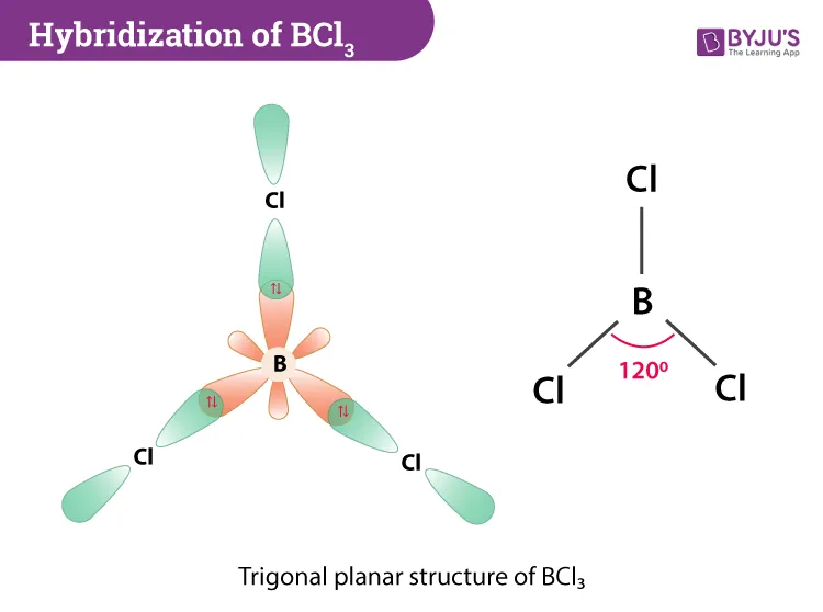 BCl3 Hybridization